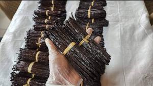 Gousse de vanille de Madagascar 100% naturelle, 18-21 cm, capsules brillantes et huileuses, teneur en vanilline >1,8%, 1 kg - Product Image 4