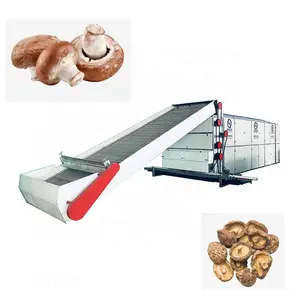 Continuous Mushroom Drying Machine Gas Heating or Coal or Electric Multi Layer Belt Dryer Machine