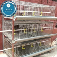 Cage en treillis métallique galvanisé à prix abordable pour cailles et poulets avec système d'abreuvement automatique pour élevage avicole