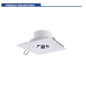 Philips LED Bulls Eye Spot ánh sáng lưới tản nhiệt ánh sáng GD900 vuông lõm Spotlight đôi kết hợp - Product Image 5