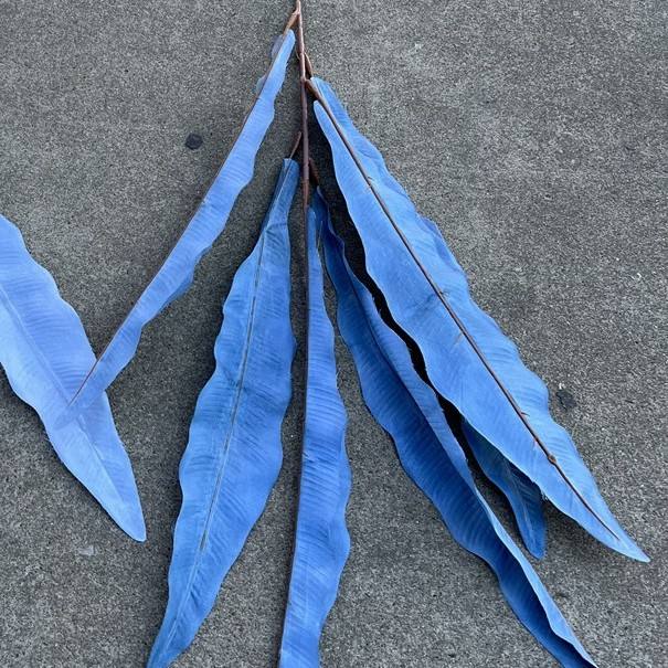 Dusty Blue, Special nest leaf dark blue