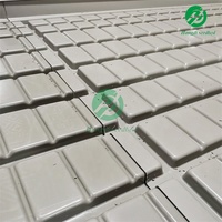 Système d'irrigation hydroponique pour serres agricoles, avec tables de culture roulantes, plateaux et bacs de semis à flux et reflux