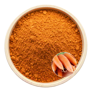 ผงแครอทอินทรีย์จาก USDA ปราศจากสารกำจัดศัตรูพืชและผ่านการรับรองเกรด AA - Product Image 2