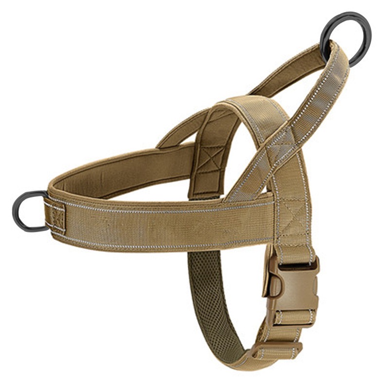 Dark Khaki