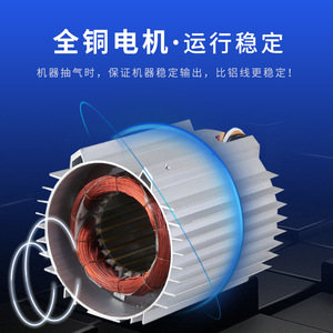 Ruyi Rotary Vane <b>Vacuum</b> <b>Pump</b> 2XZ-1 Stainless Steel Electric 220V Laboratory Use - Product Image 4