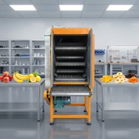 Industriële transportbanddroger van voedselveilig roestvrij staal met continue gaasband, automatische machine voor het drogen van fruit en groenten