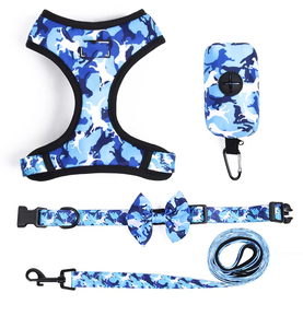 Conjunto de arnés ajustable para perro, accesorios personalizados para mascotas, con sublimación, Collar y Correa, 2021 - Product Image 1
