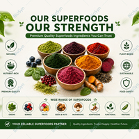 BioSyn Bulk&OEM Superfoods Bubuk Moringa Bubuk Moringa Mentah