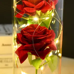 Bán Buôn Hoa Bảo Quản Rose Glass Bìa Quà Tặng Giáng Sinh Valentine Của Ngày Thủ Công Mỹ Nghệ Bất Tử Rose Glass Bìa Với Ánh Sáng