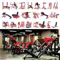 Ensemble complet de machines pour l'entraînement de force : presse pectorale et extensions dorsales (haut et bas) – Équipement de gym professionnel