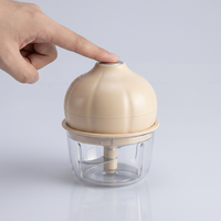 Draagbare Mini Elektrische Voedselhakker 350ml Uniek Design Glazen Kom Multifunctionele Processor Geschikt voor Knoflook Groenten