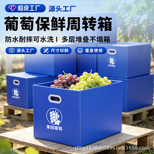 กล่องเก็บของพลาสติก Zhongtuo Zhiyuan สีฟ้า ขนาดปรับแต่งได้ กล่องบรรจุภัณฑ์อเนกประสงค์ - Product Image 2
