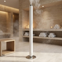 Diffuseur d'arômes de luxe pour la maison, diffuseur d'huiles parfumées électronique automatisé, nébuliseur de parfum 100 ml, diffuseur d'arômes, rafraîchisseur d'air pour la maison