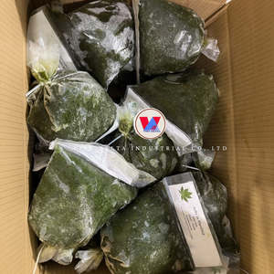 Hojas de Yuca Congeladas de Alta Calidad VDELTA |   Hoja Verde Fresca y Natural |   Exportación a Granel OEM desde Vietnam - Product Image 1