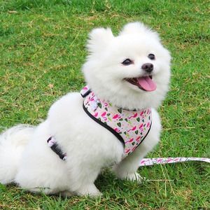 Correa para Perros Pequeños y Medianos con Estampado de Lazo, Bolsa para Excrementos, Arnés y Collar para Pasear Perros - Product Image 2