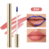 Huile repulpante végane pour les lèvres, sérum amplificateur de volume, gloss en stylo, vente en gros