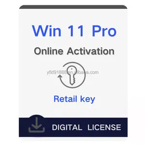 Groothandel Win 11 Pro Digitale Sleutel 100% Online Activering Levenslange Licentie Win 11 Pro Retail Sleutel Originele Code Verzenden Via Ali Page