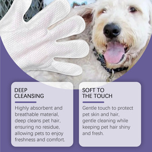 Lingettes compostables pour animaux de compagnie, non parfumées, pour peaux sensibles, lingettes de nettoyage dentaire pour animaux, gants de nettoyage pour animaux - Product Image 4