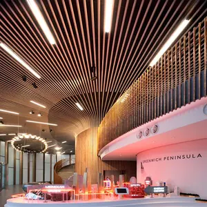 Şerit yanlış lineer asma asma tavan paneli mimari dekoratif alüminyum özelleştirilmiş Modern alüminyum alaşımlı Xin Enze
