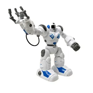Intelligent robots de combat pour adultes pour diverses utilisations  intelligentes - Alibaba.com