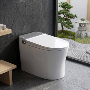 Cupc WaterMark Intelligent Smart 2026 Japandi Grey Lid Tankless Rimless Ceramic Auto Flush Heated Bidet Elongated Side Button - Product Image 1