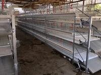 Nouvelle cage à poules pondeuses de type H avec rouleaux de nettoyage, fil galvanisé, 3-5 étages, capacité de 96 à 200 oiseaux, longue durée de vie