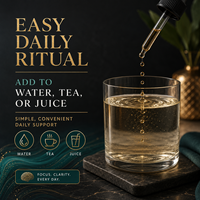 Extrait Liquide Premium de Crinière de Lion 60ml Formule Nootropique avec L-Théanine pour le Soutien Cognitif Fournisseur OEM Usine