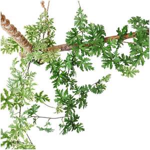 Pianta Artificiale Elegante Succulenta con Etichetta Personalizzata Fiori Artificiali Resistenti ai Raggi UV Realistici per Fotografia Scaffale a Muro in Rattan - Product Image 3