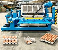 Çilek Brezilya Paketleme Fabrikası için Çok Fonksiyonlu Kağıt Hamuru Yumurta Viyol Makinesi