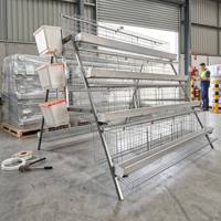 Nouvel équipement d'élevage avicole : Cage à poules pondeuses en A, galvanisée à chaud Q235, cage à batterie, alimentation automatique, collecte des œufs, durée de vie 15-20 ans
