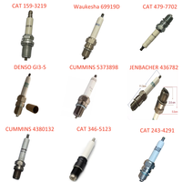 Bougies d'allumage industrielles de haute qualité remplacent les bougies d'allumage d'électrode d'iridium 69919D pour les moteurs de générateur de gaz Waukesha