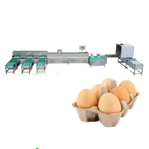 2022 máquina de classificação de ovos para venda/classificadora de ovos/máquina separadora de ovos