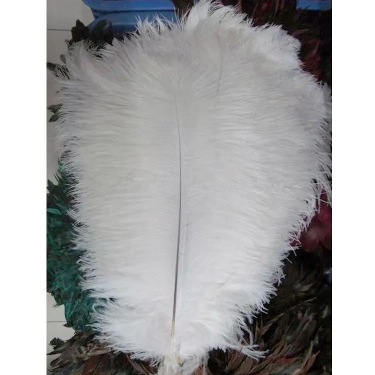 70-75 cm Grote Wit Struisvogelveren Carnaval Headdresses