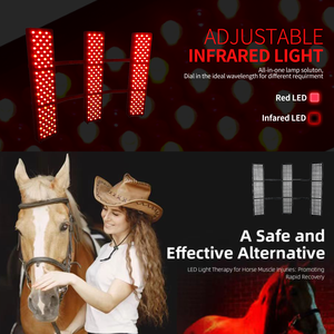 Dispositivo Asistente de terapia de luz roja para Granero equino <span class=keywords><strong>LED</strong></span> Horse <span class=keywords><strong>Solarium</strong></span> con termómetro Sunbath Horse Daylight Simulator - Product Image 5