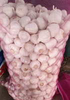 Prêt à Expédier de Haute Qualité de 5.0 à 6.0 et plus Ail Blanc Frais de Chine Ail de Cuisson Biologique Direct à Vendre