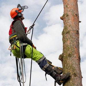 Cuerda de Escalada Estática de Alta Resistencia de 1/2 Pulgada x 150 Pies, Color Rojo, para Arboricultura, Escalada <span class=keywords><strong>en</strong></span> Árboles, Vela, Columpio y Actividades al Aire Libre - Product Image 5