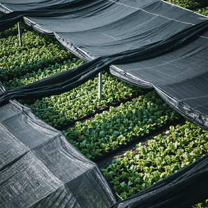 High Quality Agricultural Garden Shading Cloth UV Resistant Greenhouse Screen - Product Image 4