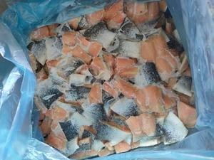 Saumon de l'Atlantique biologique de qualité supérieure AA en vrac, surgelé frais, nourrissant, prêt à l'exportation, conservé à l'huile, provenance USA - Product Image 5