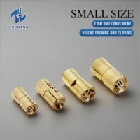 Charnière cylindrique en laiton de 24mm Accessoires de quincaillerie de meubles Boîte à bijoux de porte d'armoire Mini charnières dissimulées de 8mm