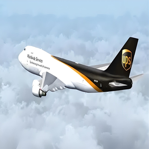 От двери до двери дешевая стоимость доставки <span class=keywords><strong>DHL</strong></span> UPS FedEx Express в Доминиканскую Республику Пуэрто-Рико - Product Image 3