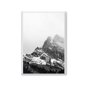 29 "x 43" Top loader chủ Pro 29x43 Toploader giữ Poster và in Bộ sưu tập siêu bảo vệ cho Kích thước phim Poster - Product Image 4