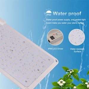 Samsung 320W per <span class=keywords><strong>Quantu</strong></span> Board LED coltiva pannelli luminosi Evo spettro completo UV IR 3000K per la coltivazione di piante Indoor - Product Image 5