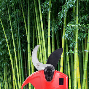 16.8V <span class=keywords><strong>professionnel</strong></span> sécateur <span class=keywords><strong>électrique</strong></span> 32mm <span class=keywords><strong>bois</strong></span> coureur <span class=keywords><strong>ciseaux</strong></span> bricolage Lithium tondeuse pour vignoble jardinage pôle <span class=keywords><strong>ciseaux</strong></span> - Product Image 5