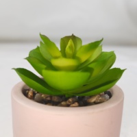 Cactus en céramique fait à la main Mini plante Figurine artificielle Succulent Pot de fleur pour la maison Table Decor Unique Home Decor