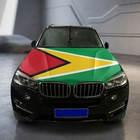 Housse de capot de voiture avec drapeau national de la Guyane 130x150 cm, housse de moteur de voiture avec drapeau, vente en gros, tissu élastique personnalisé, vente directe d'usine