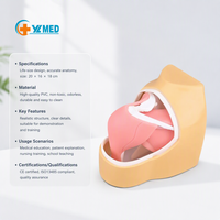 Simulateur d'arthroscopie humaine pour la science médicale, modèle d'articulation de l'épaule, usage pédagogique médical CE/ISO