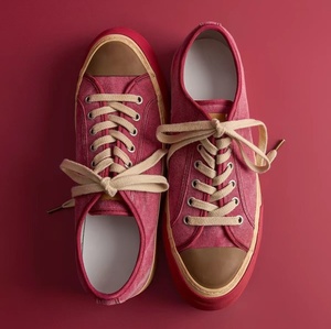 Zapatillas de lona versátiles con efecto desgastado para el día a día de un brand de nicho. Zapatos de skate para hombre y mujer - Product Image 2