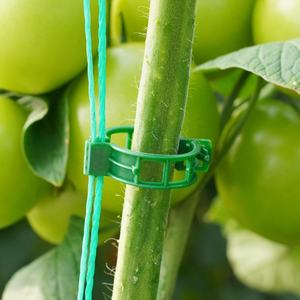 Clip <span class=keywords><strong>de</strong></span> fixation moderne pour légumes, fruits, tomates – Petit clip en plastique durable pour plantes grimpantes, boucle <span class=keywords><strong>de</strong></span> <span class=keywords><strong>tomate</strong></span> pour serre - Product Image 5