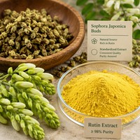 Poudre de Rutine Naturelle 95% 98% NF11 DAB10 Extrait de Sophora Japonica Qualité Alimentaire Emballée Sous Vide