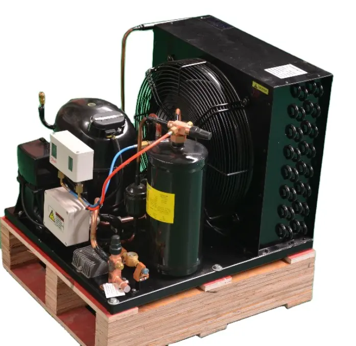 Coldroom R404a 1hp 1/2hp caminhada no refrigerador do congelador Mini semi hermética refrigeração condensação unidade com compressor 220v